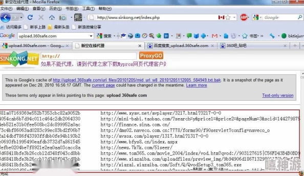 17c.泄密：全球科技巨头内部文件曝光，揭示数据安全漏洞与隐私保护的重大隐患