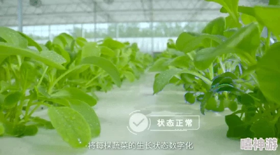 三叶草实验室研究所：深入探讨植物基因组编辑技术在农业可持续发展中的应用与前景分析