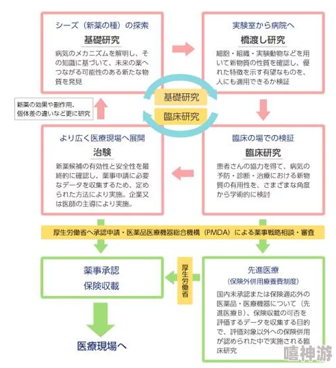 日本医院的特殊待遇5：分析医疗资源分配与患者体验之间的关系及其对健康结果的影响